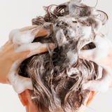 lavera Shampoo Color & Shine during application