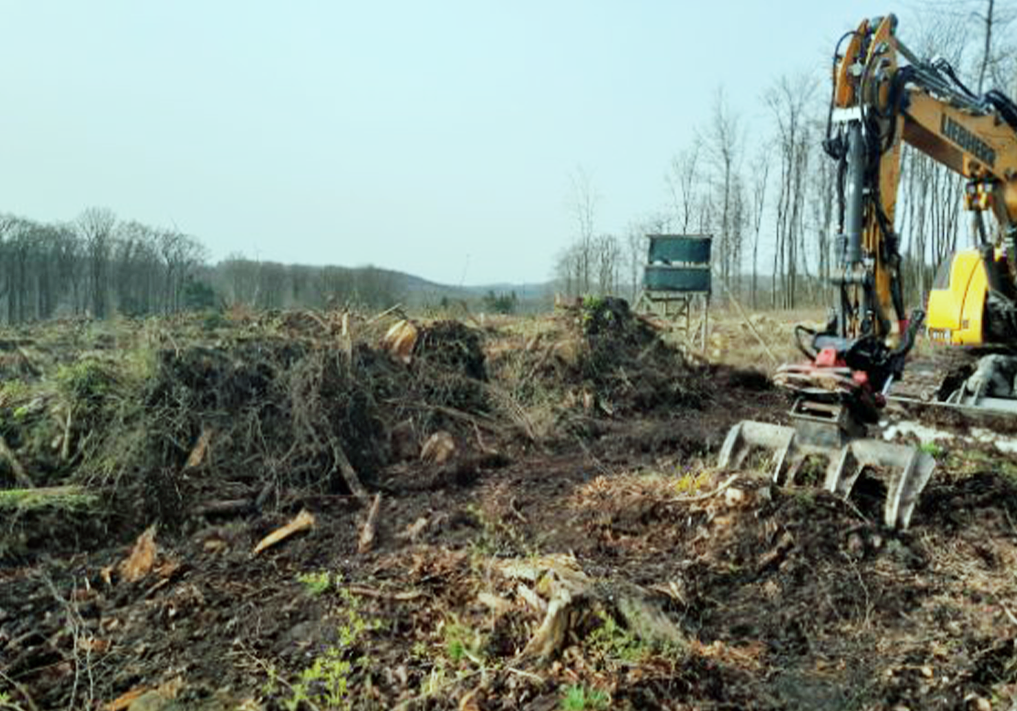 Bagger gräbt eine Wiese um