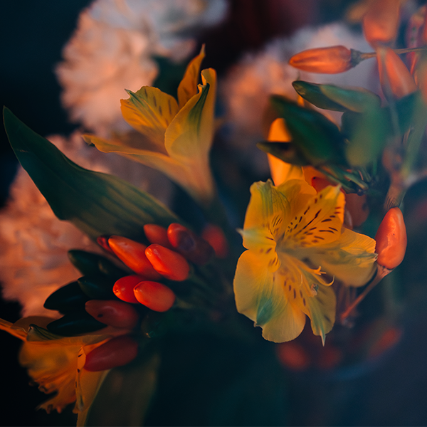 Herbstblumen