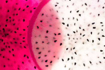 Organic Dragon Fruit