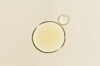 Ferulic acid