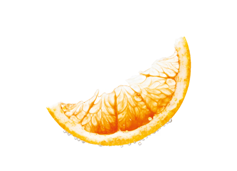 Orangenscheibe auf weißem Hintergrund