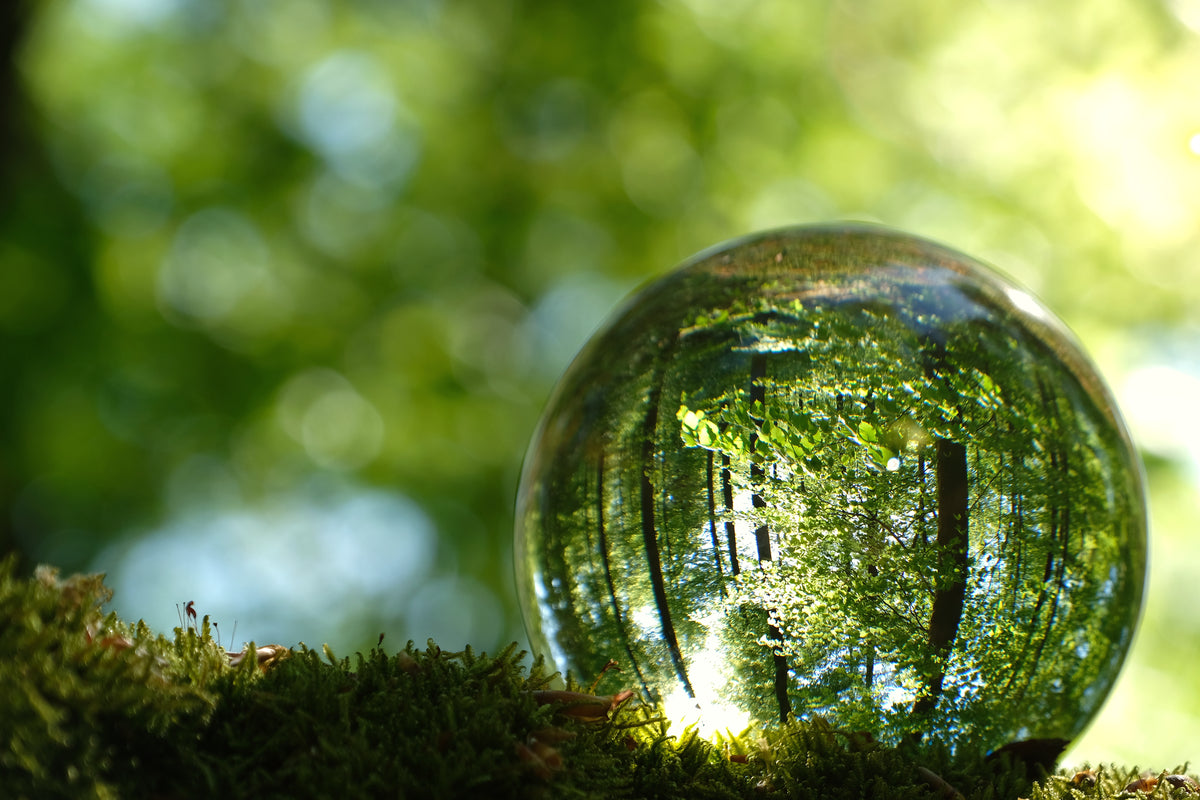 Kugel, in der sich der Wald spiegelt liegt auf Moosbett