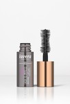 Lash To Impress - Mini Edition
