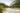Wald