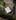 06.09.23_lavera_Lippenpflege_welcher_Stick_fu er_wen_alle_vA