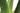 Aloe Vera Header Neu