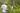 Wald