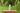 lavera Natural Beauty basis sensitiv Care Conditioner