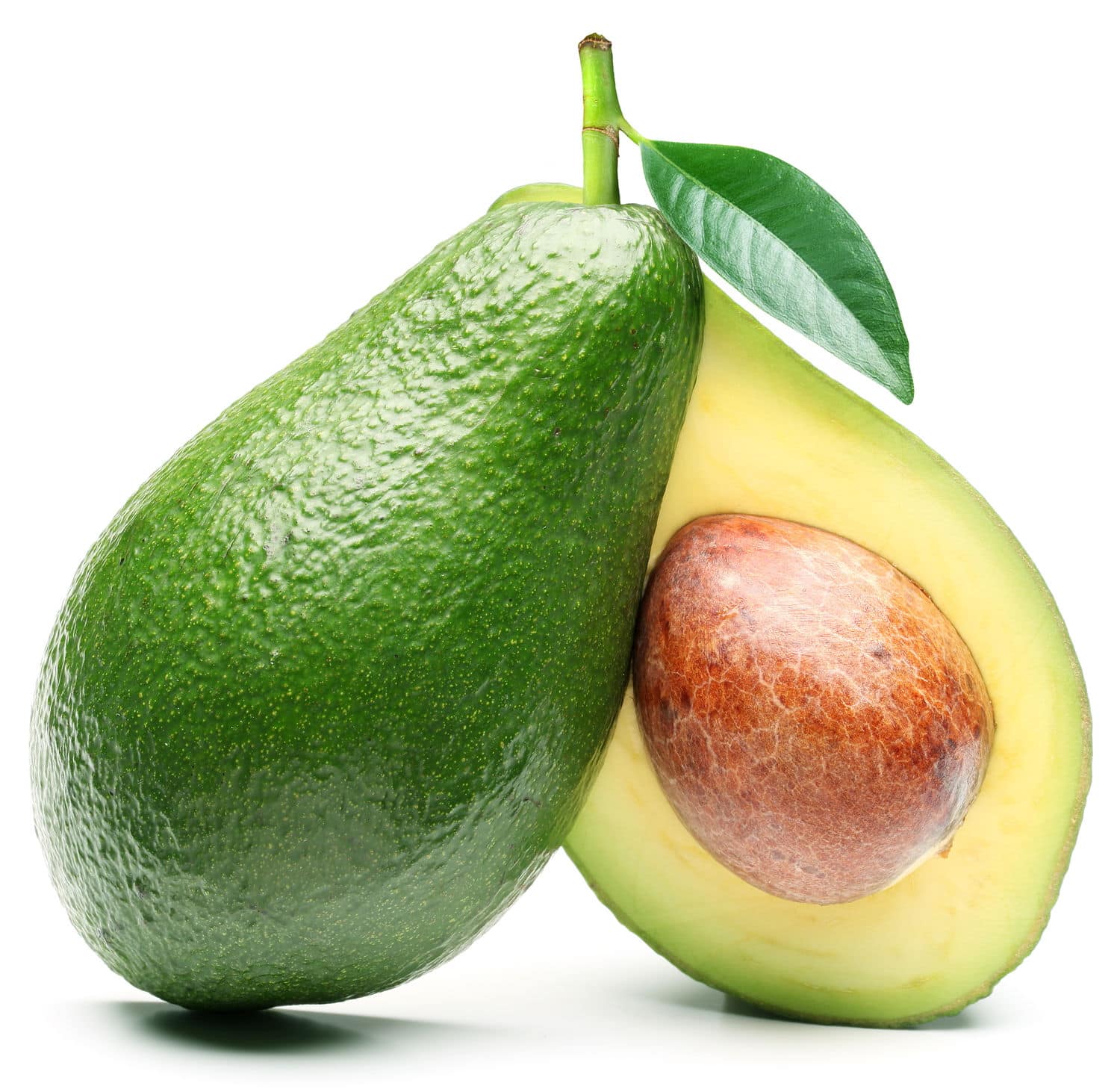 Organic avocado in lavera care and cleansing products