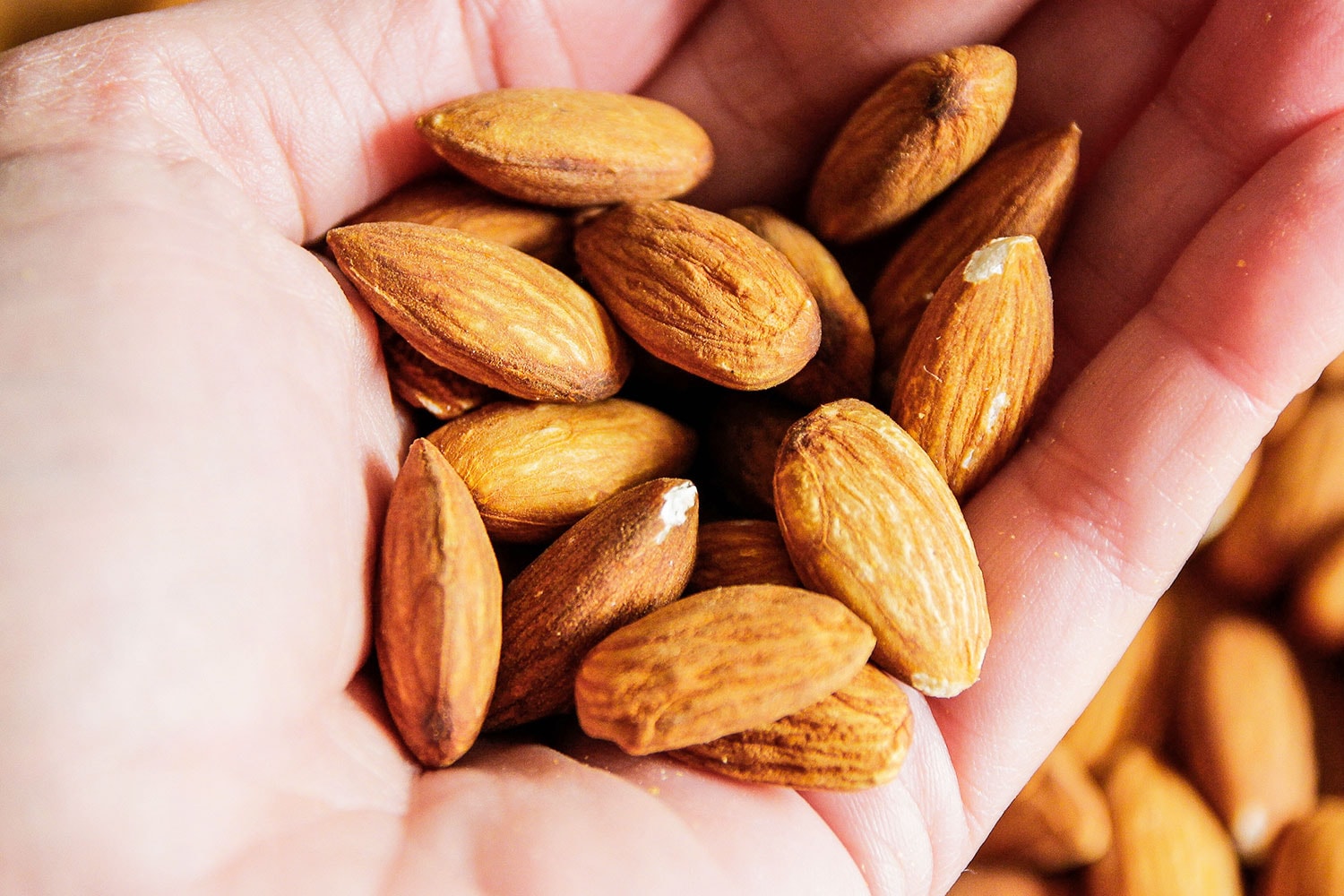 Many almonds lying in a woman’s hand