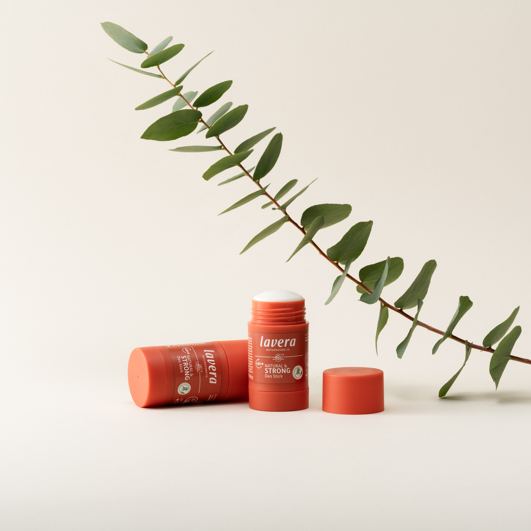 lavera Deo-Stick unter einem Eukalyptusast
