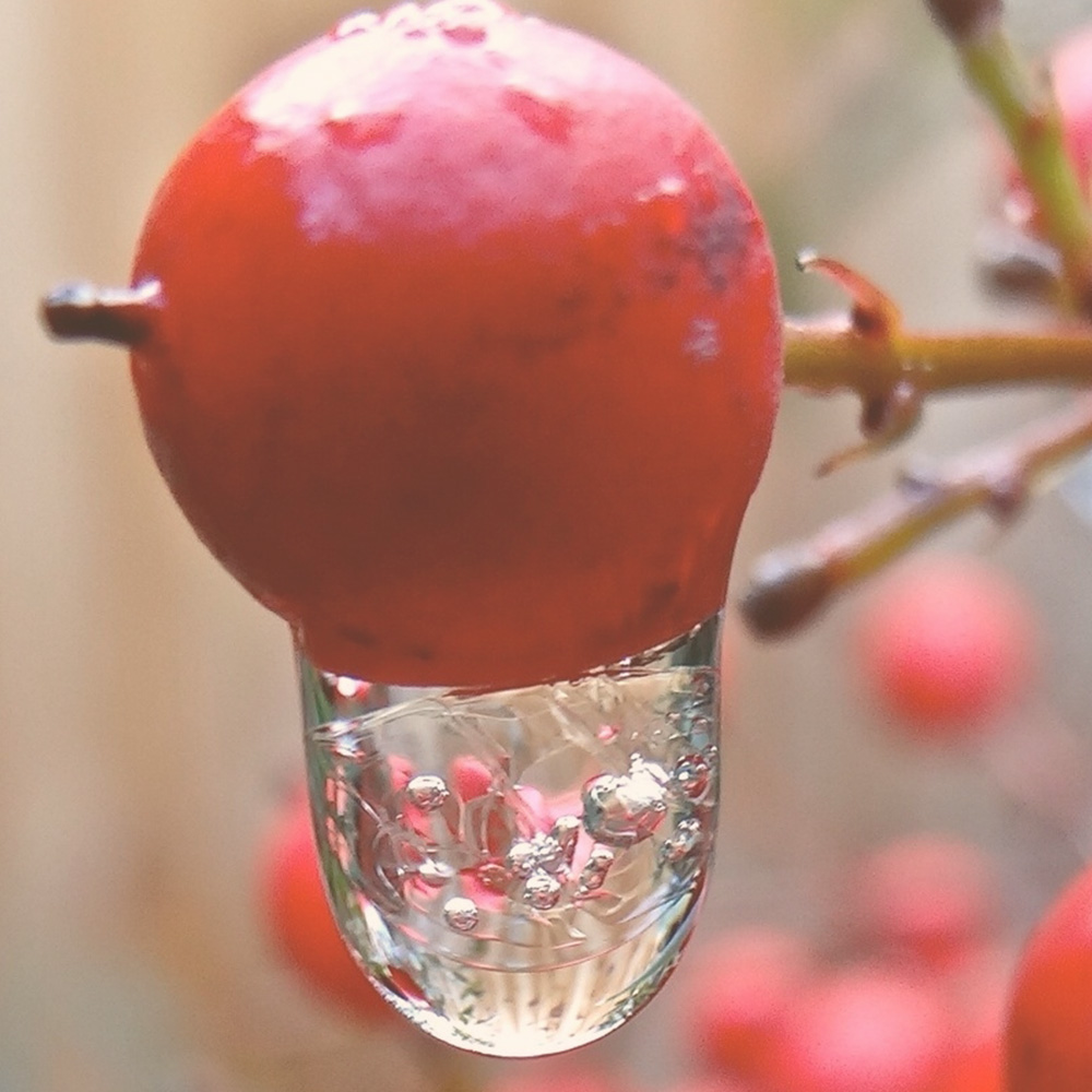 cranberry drop resveratrol