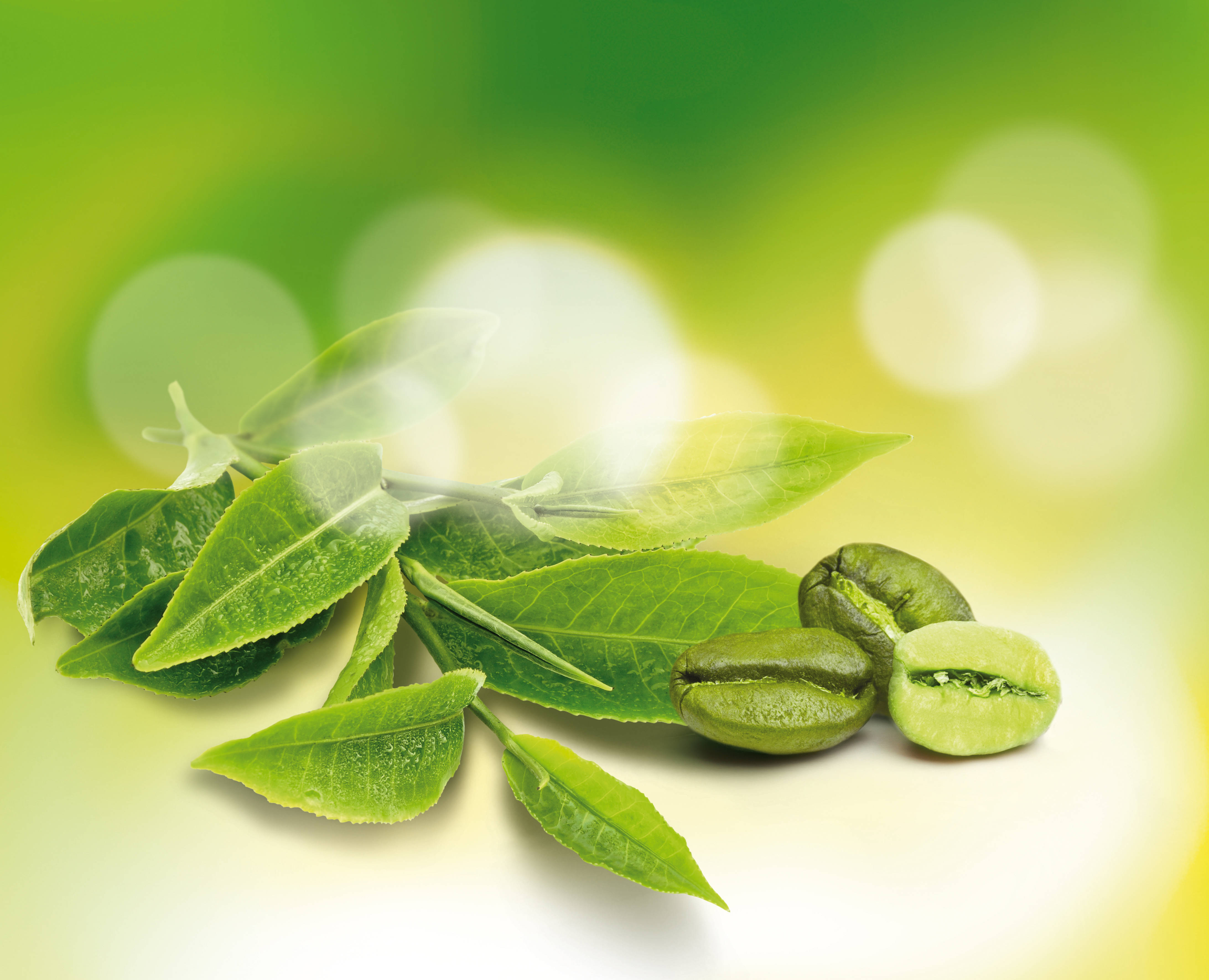 Close-up of a green tea twig and three green coffee beans with a glowing green background