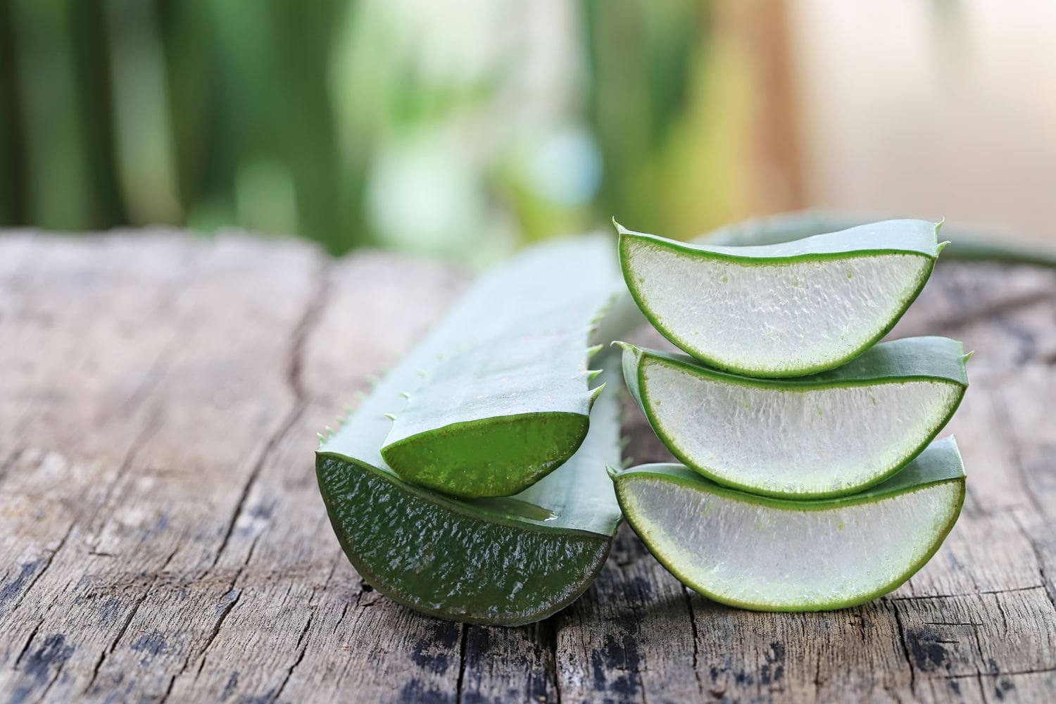 Wertvolles Aloe-Vera-Gel hilft bei der Wundheilung Aufgeschnittene Aloe Vera Blätter auf Holztisch