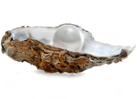 Pearl extract 	